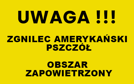 Zwalczanie zgnilca amerykańskiego