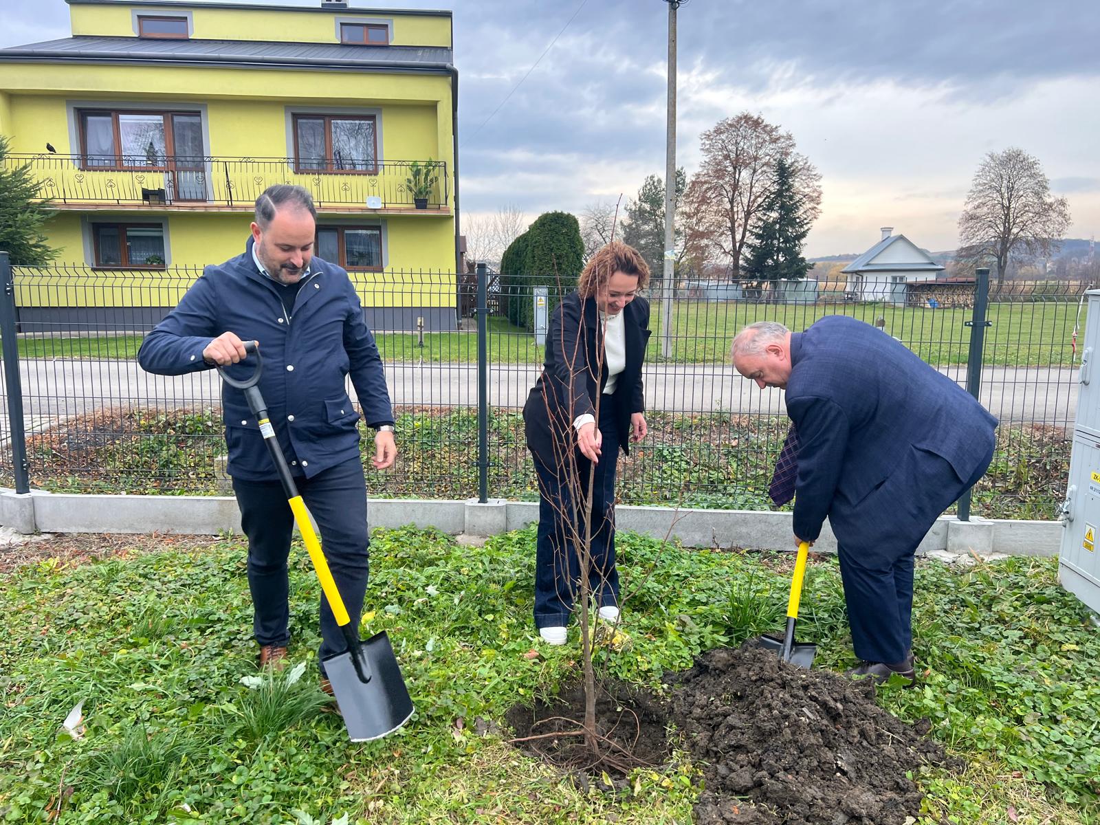 Drzewa i krzewy miododajne w Gminie Przemyśl !